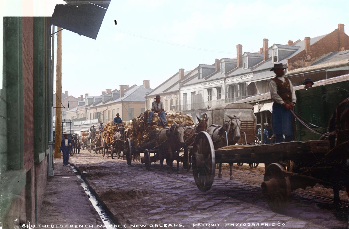 A line of loaded mule wagons on the street beside the French Market in New Orleans, with a man standing on an empty flatbed dray at the right and painted shopfront signs for hardware, stoves, ship chandlery and groceries on the buildings behind.