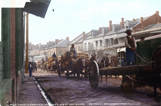 A line of loaded mule wagons on the street beside the French Market in New Orleans, with a man standing on an empty flatbed dray at the right and painted shopfront signs for hardware, stoves, ship chandlery and groceries on the buildings behind.
